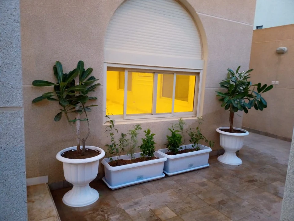 Courtyard detail